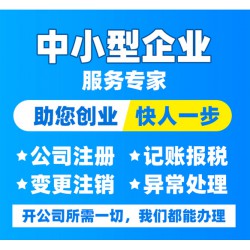 代理记账,清理错账,合理