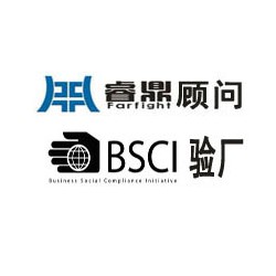 承认的bsci验厂公司有哪些?