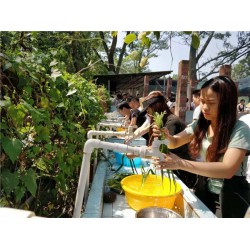 深圳市田中园生态园门票 田中园一日游 农家乐野炊烧烤