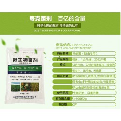 防病生物菌防治土壤预防根腐霉菌立枯病镰刀菌黑斑烂根霜腐霉病有