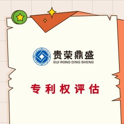 沈阳市专利出资评估软著实缴评估商标价值评估知识产权评估