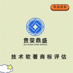 连云港市专利商标实缴评估股权价值评估知识产权评估