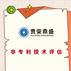 成都市新津区影视版权评估入资专利评估机构有哪些软著权评估