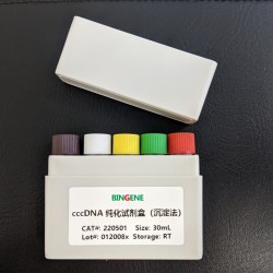 220501-50cccDNA 纯化试1剂盒（沉淀法）