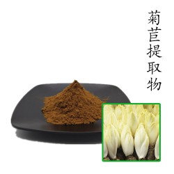 菊苣提取物10:1 散装浓缩粉