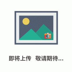 天狼星红染色液