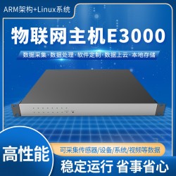 龙兴物联5G物联网主机 E3000