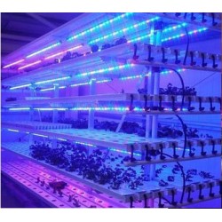 QT-LED1218植物补光灯