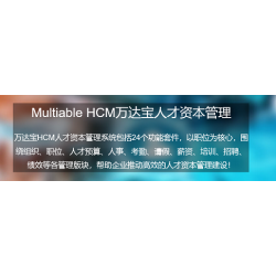 HCM人才管理系统_HCM人才管理软件