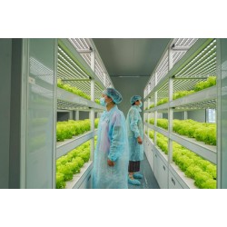 衡水市植物工厂无菌室种植蔬菜建设厂家