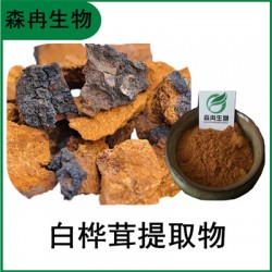 森冉生物 白桦茸提取物 桦褐孔菌提取物 白桦茸多糖