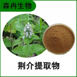 森冉生物 荆介提取物 线芥提取物 比例提取原料粉