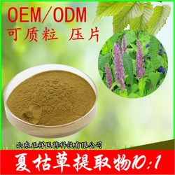 夏枯草片 压片糖果 OEM贴牌代加工 压板泡罩包衣 贴牌定制