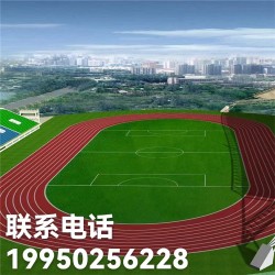 足球场草坪足球场全国施工足球场草坪源头厂家