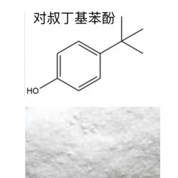 对叔丁基苯酚 ≥98%25kg/袋