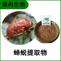 森冉生物 蝉蜕提取物 蝉衣提取物 比例提取原料粉